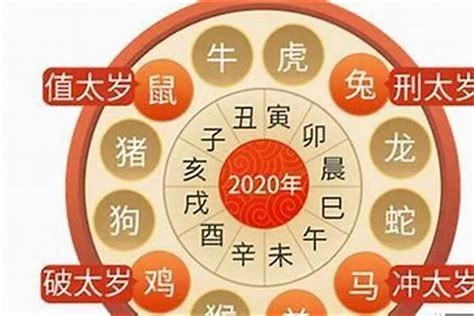 属虎人2023年运势|属虎2023年运势及运程详解每月 2023年属虎人的全年运势